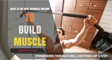 Unlocking Muscle Growth: The Ultimate Workout Routine Guide