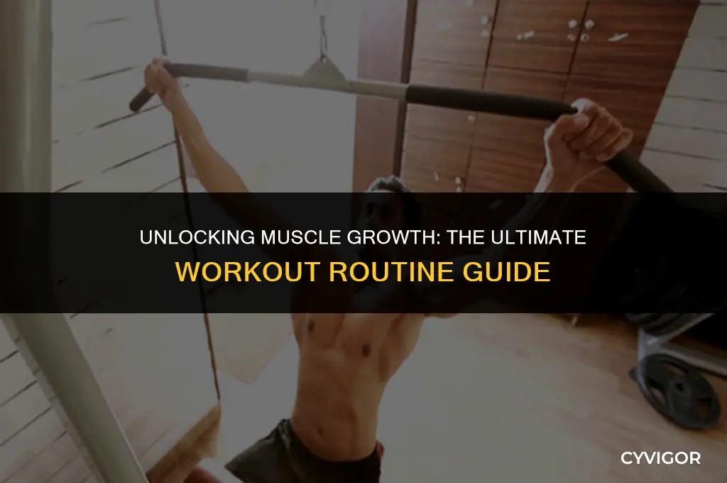 what is the best workout routine to build muscle