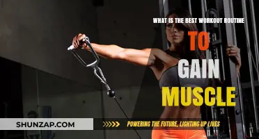 Effective Muscle-Building Workout Routines for Optimal Strength and Growth