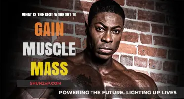 Effective Muscle-Building Workouts: Strategies for Maximum Mass Gain