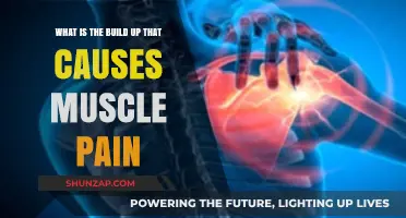Understanding Muscle Pain: The Build-Up and Causes Explained