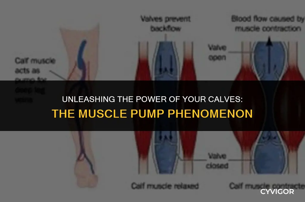 what is the calf muscle pump called