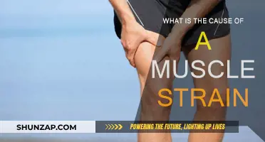 Understanding Muscle Strains: Causes and Prevention