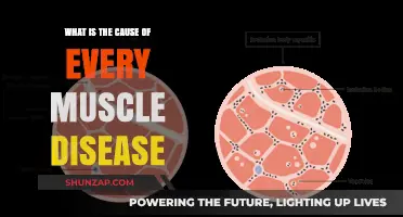 Unraveling the Root Causes of Muscle Diseases: A Comprehensive Overview