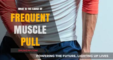 Understanding Frequent Muscle Pulls: Causes and Prevention Strategies
