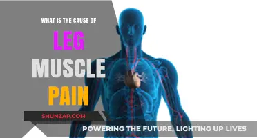 Understanding Leg Muscle Pain: Common Causes and Effective Remedies