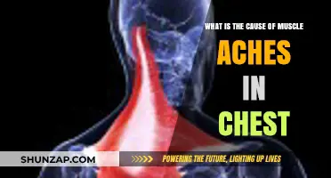 Understanding Chest Muscle Aches: Causes and Potential Triggers Explained