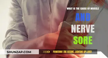 Understanding Muscle and Nerve Soreness: Causes and Contributing Factors