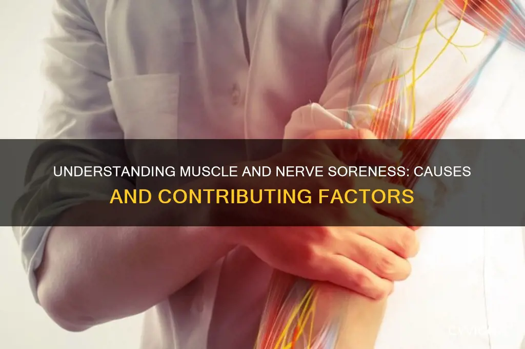 what is the cause of muscle and nerve sore