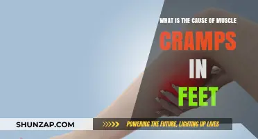 Understanding the Root Causes of Foot Muscle Cramps and Relief