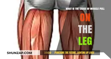 Understanding Leg Muscle Pulls: Causes and Prevention Tips