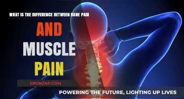 Bone Pain vs. Muscle Pain: Understanding the Key Differences