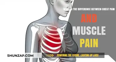 Chest Pain vs. Muscle Pain: Understanding the Key Differences