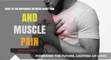 Heart Pain vs. Muscle Pain: Understanding the Key Differences