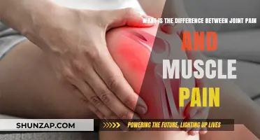 Joint Pain vs. Muscle Pain: Understanding the Key Differences