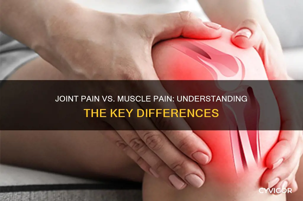 what is the difference between joint pain and muscle pain