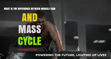 Muscle Gain vs. Mass Cycle: Understanding the Key Differences