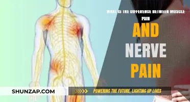 Muscle Pain vs. Nerve Pain: Understanding the Key Differences