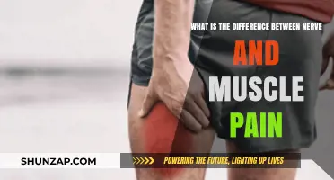 Nerve vs. Muscle Pain: Understanding the Key Differences and Symptoms