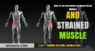 Pulled Muscle vs. Strained Muscle: Understanding the Key Differences
