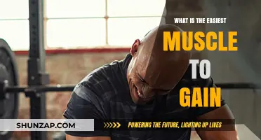 Quick Muscle Gains: Discover the Easiest Muscle to Build Fast