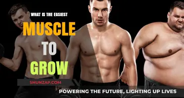 Unlocking Quick Gains: The Easiest Muscle to Grow Fast