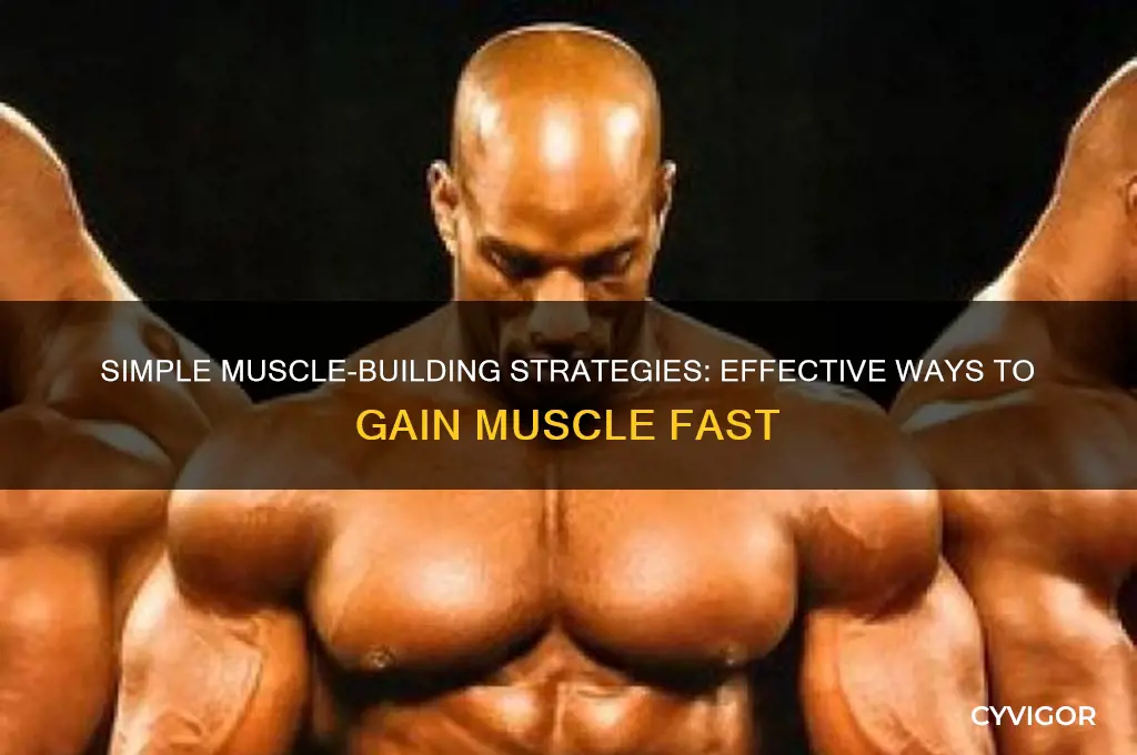 what is the easiest way to gain muscle