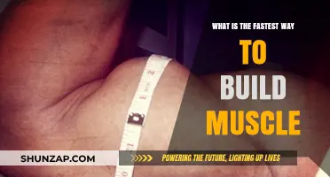 Rapid Muscle Growth: The Ultimate Guide to Building Mass Fast