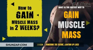 Maximize Muscle Growth: Proven Strategies for Rapid Mass Gain