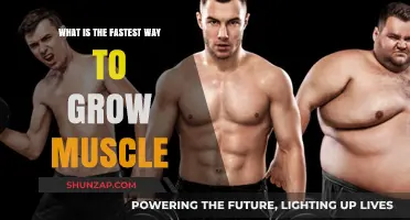 Maximize Muscle Growth: Proven Strategies for Rapid Strength Gains