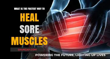 Quick Muscle Recovery: Top Tips to Heal Sore Muscles Fast