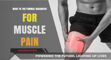 Understanding Muscle Pain: Formal Diagnosis and Medical Terminology Explained