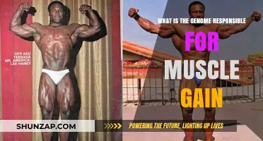 Genome's Role in Muscle Gain: Unlocking Genetic Potential for Strength