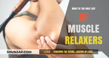 Understanding Muscle Relaxers: Half-Life Explained for Effective Pain Relief
