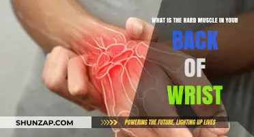 Understanding the Hard Muscle in Your Back of Wrist