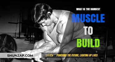 Unleashing the Beast: Conquering the Toughest Muscle to Build