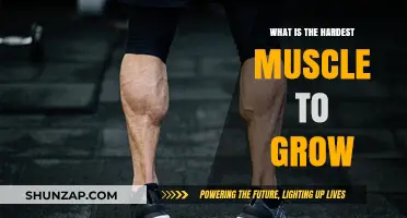 Unveiling the Toughest Muscle to Build: A Growth Challenge Explained