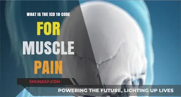 Understanding ICD-10 Code for Muscle Pain: A Comprehensive Guide