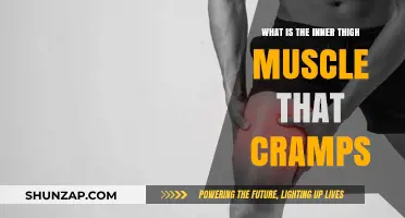 Understanding Inner Thigh Muscle Cramps: Causes and Relief