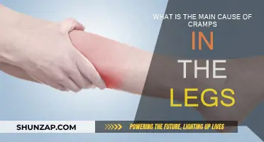 Leg Cramps: Understanding the Root Cause