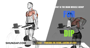 Mastering Dips: Unlocking the Power of Your Triceps and Chest