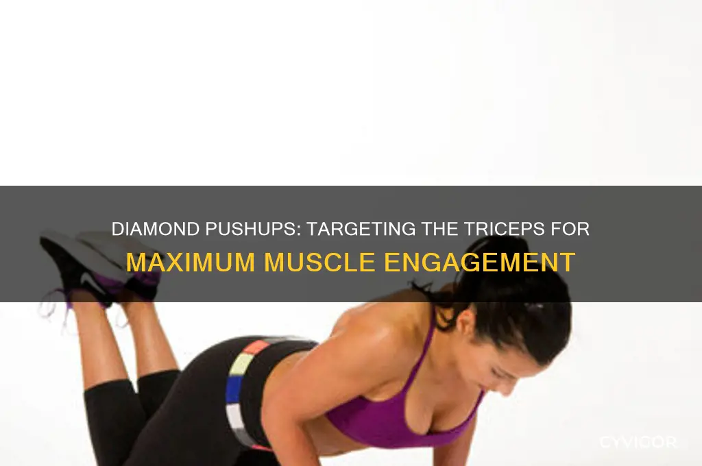 what is the main muscle worked with a diamond pushup
