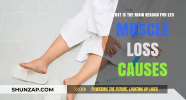 Unraveling the Primary Causes of Leg Muscle Loss: Key Factors Explained