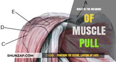 Understanding Muscle Pull: Causes, Symptoms, and Effective Recovery Tips
