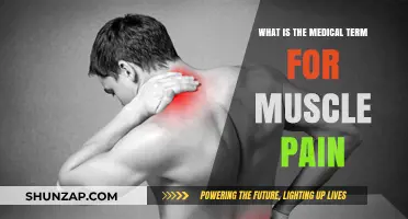 Understanding Myalgia: The Medical Term for Muscle Pain Explained