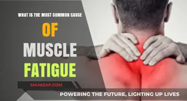 Understanding Muscle Fatigue: Uncovering the Primary Culprit Behind Tired Muscles
