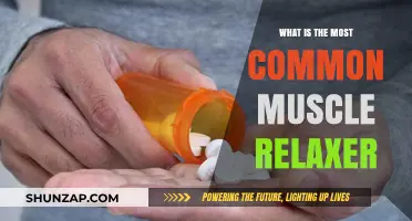 Discover the Most Common Muscle Relaxer for Effective Pain Relief