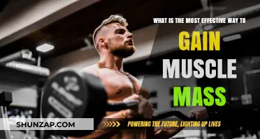 Effective Muscle Mass Gain: Proven Strategies for Optimal Results