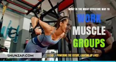 Maximize Muscle Growth: Proven Strategies for Targeted Group Training