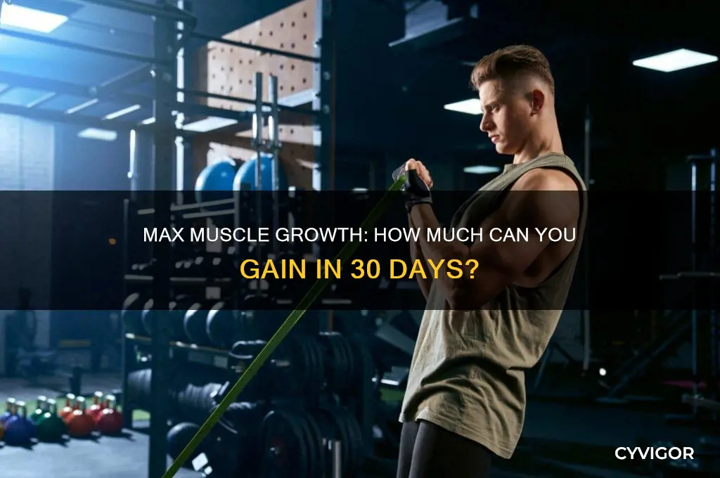 what is the most muscle gained in a month